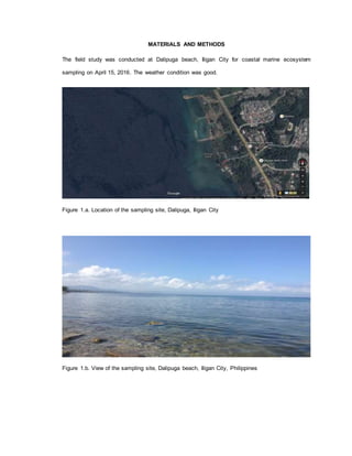 MATERIALS AND METHODS
The field study was conducted at Dalipuga beach, Iligan City for coastal marine ecosystem
sampling on April 15, 2016. The weather condition was good.
Figure 1.a. Location of the sampling site, Dalipuga, Iligan City
Figure 1.b. View of the sampling site, Dalipuga beach, Iligan City, Philippines
 