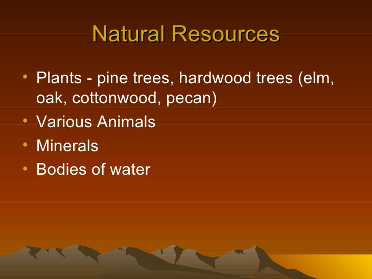 Coastal Plain Region Of Georgia Natural Resources Coastal Plain Region Of Georgia Natural Resources