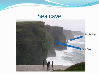 Sea cave
Sea Cave
Sea Stump
 