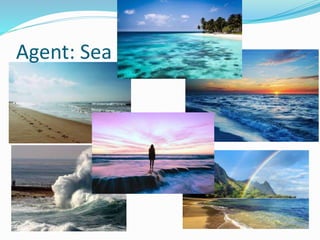Agent: Sea
 
