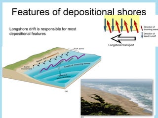Features of depositional shores
Longshore drift is responsible for most
depositional features
 