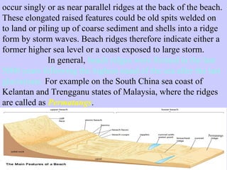 Coastal Processes, Landforms and associated processes.pptx
