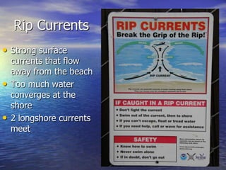 Rip Currents
• Strong surface
    currents that flow
    away from the beach
•   Too much water
    converges at the
    shore
•   2 longshore currents
    meet
 
