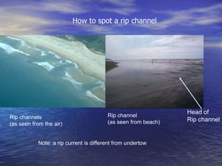 How to spot a rip channel




                                                               Head of
Rip channels                            Rip channel
                                        (as seen from beach)   Rip channel
(as seen from the air)


           Note: a rip current is different from undertow
 