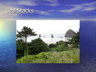 Sea Stacks
 