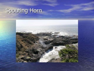 Spouting Horn
 
