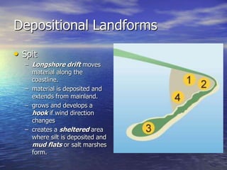 Depositional Landforms
• Spit
  – Longshore drift moves
    material along the
    coastline.
  – material is deposited and
    extends from mainland.
  – grows and develops a
    hook if wind direction
    changes
  – creates a sheltered area
    where silt is deposited and
    mud flats or salt marshes
    form.
 