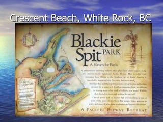 Crescent Beach, White Rock, BC
 