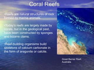 Coral Reefs
•Reefs are natural structures of rock
formed by marine animals.

•Today’s reefs are largely made by
corals, but in the geological past,
have been constructed by sponges
and bizarre clams.

•Reef-building organisms build
skeletons of calcium carbonate in
the form of aragonite or calcite.

                                        Great Barrier Reef,
                                        Australia
 