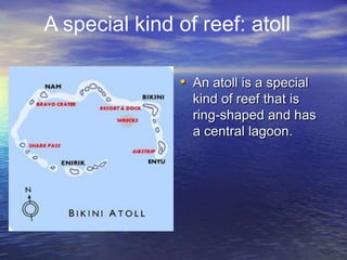 A special kind of reef: atoll

               • An atoll is a special
                 kind of reef that is
                 ring-shaped and has
                 a central lagoon.
 