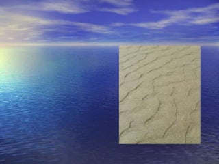 Coastal Processes and Landforms