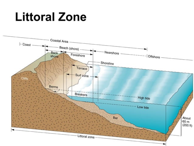 Coastal processes and landforms | PPT | Geology | Science