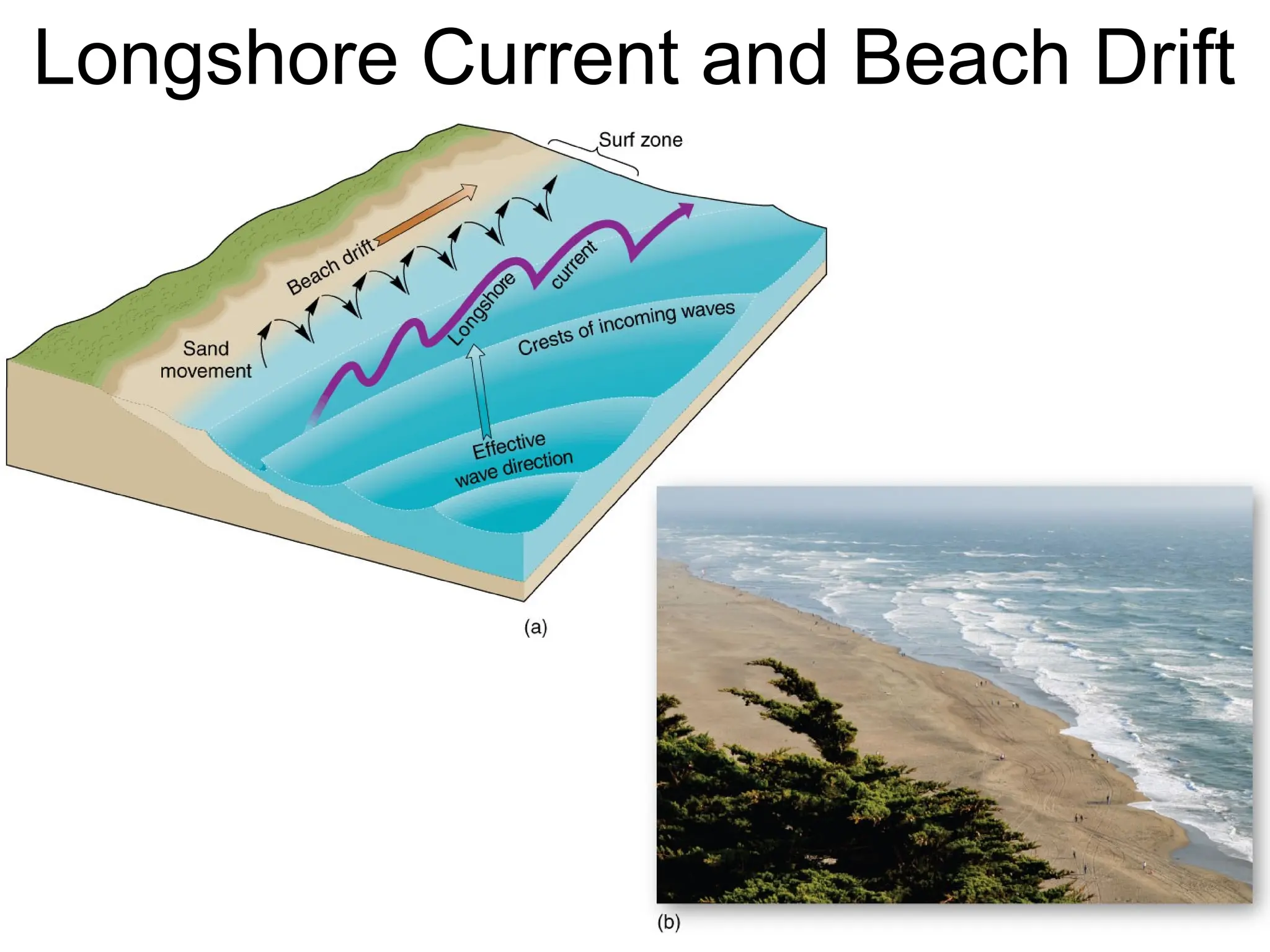 Longshore Current and Beach Drift
 