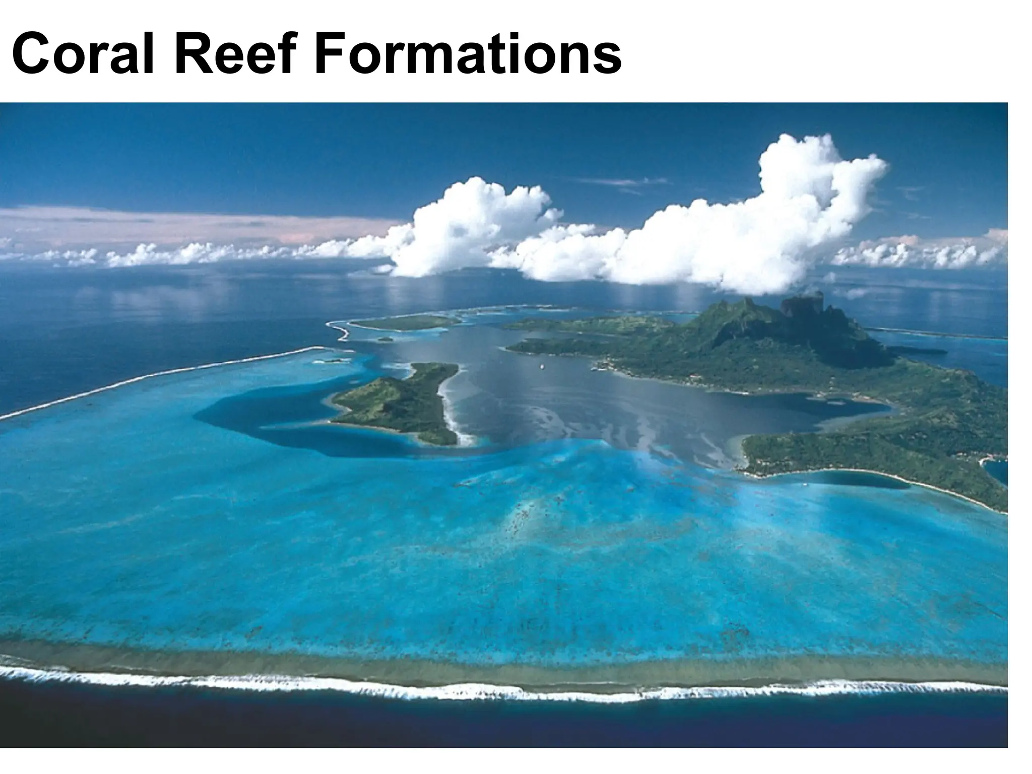 Coral Reef Formations
 