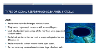 Comprehensive Overview of Coastal Processes, Landforms, and Coral Reefs ...