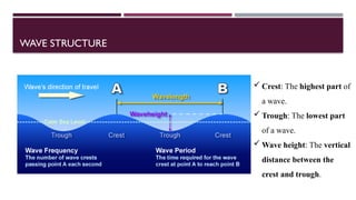 Comprehensive Overview of Coastal Processes, Landforms, and Coral Reefs ...
