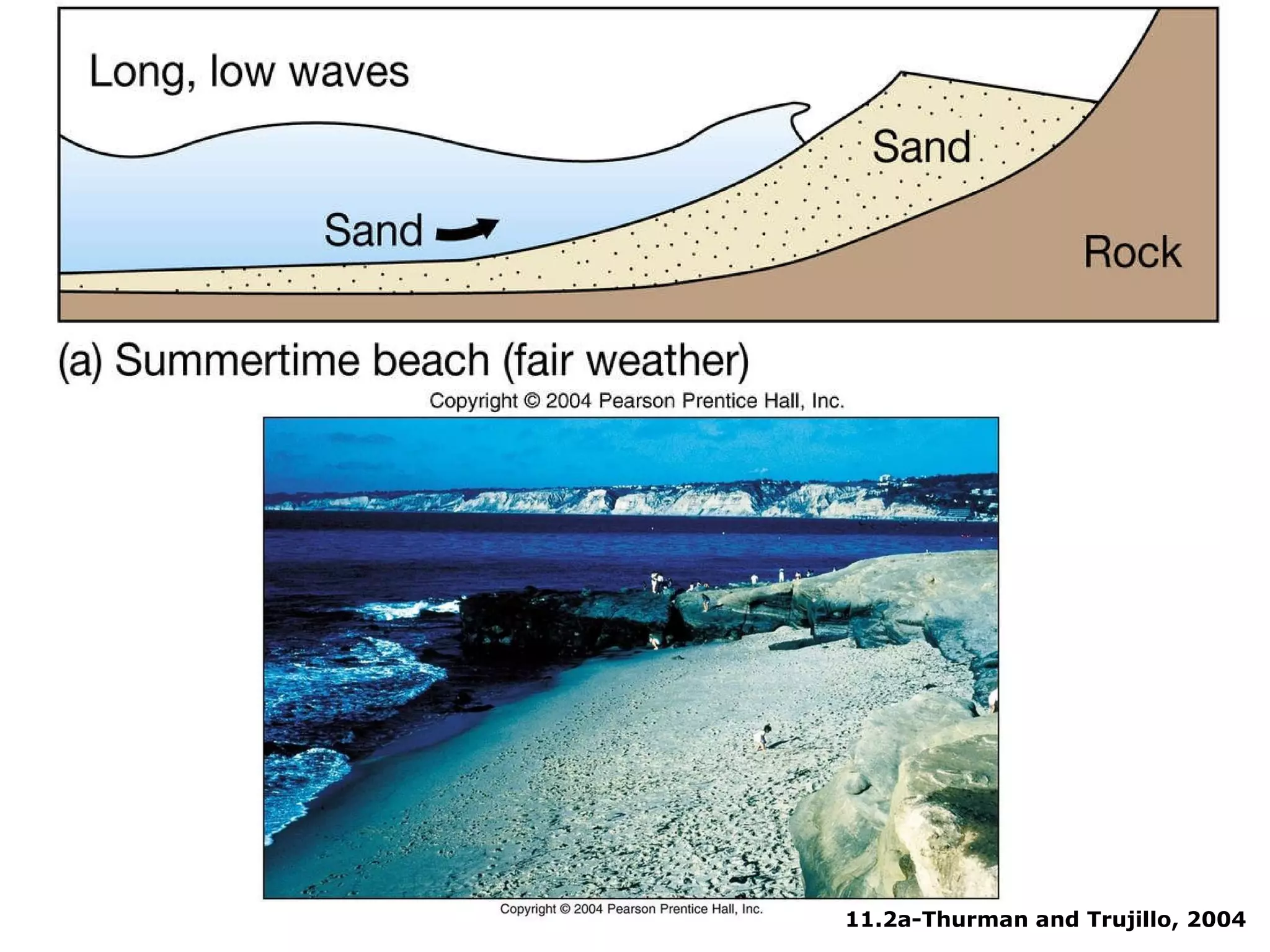 11.2a-Thurman and Trujillo, 2004 