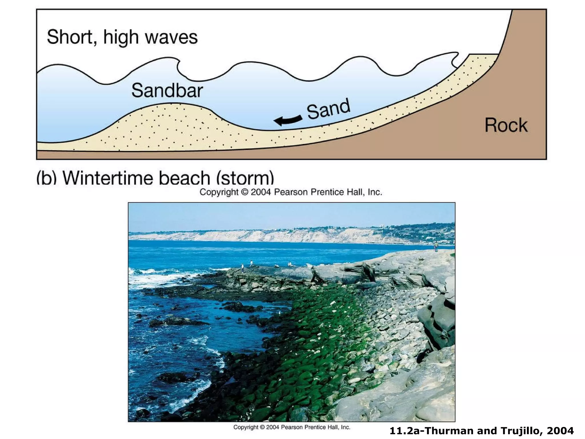 11.2a-Thurman and Trujillo, 2004 