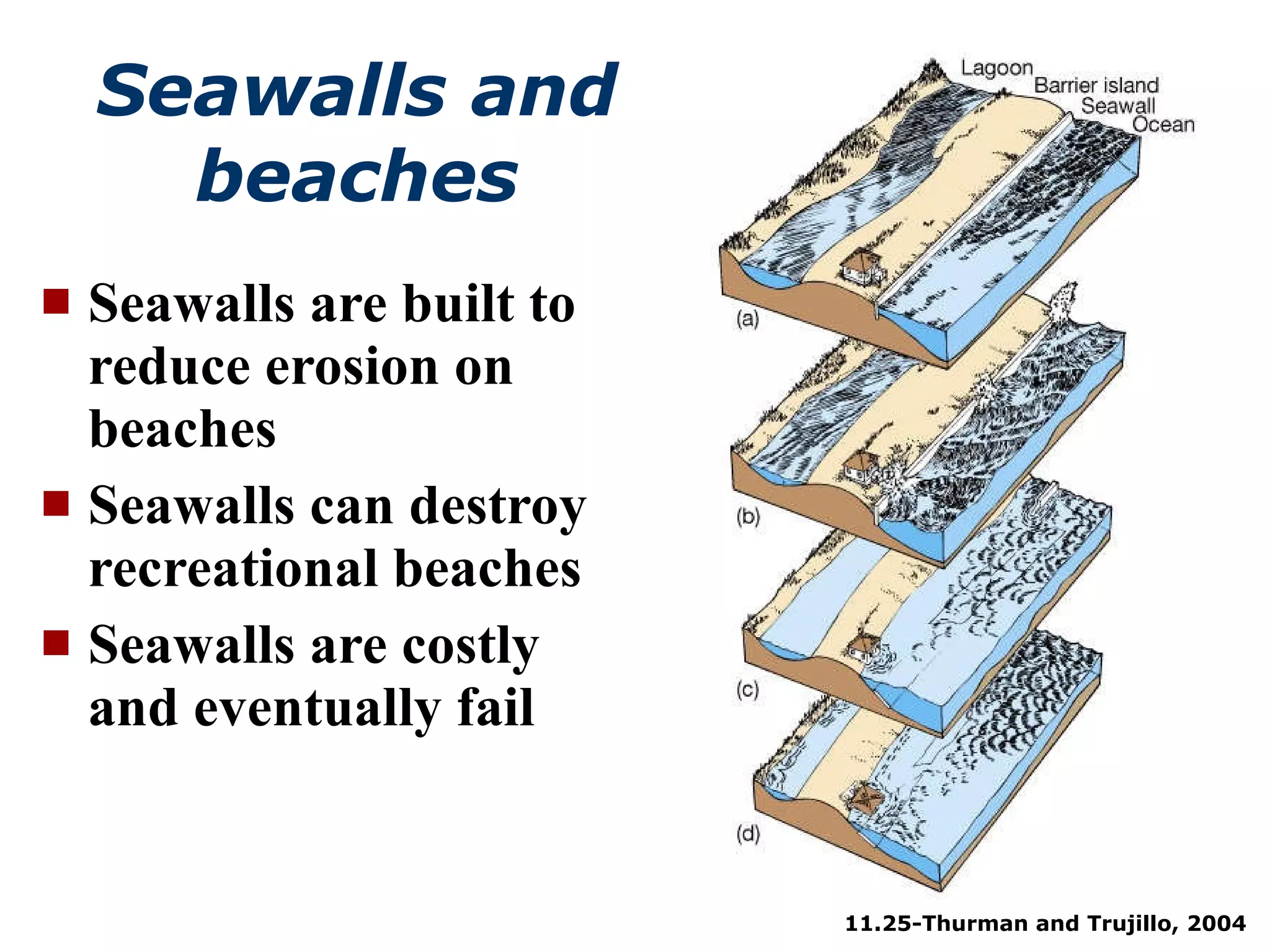 Seawalls and beaches Seawalls are built to reduce erosion on beaches Seawalls can destroy recreational beaches Seawalls are costly and eventually fail  11.25-Thurman and Trujillo, 2004 