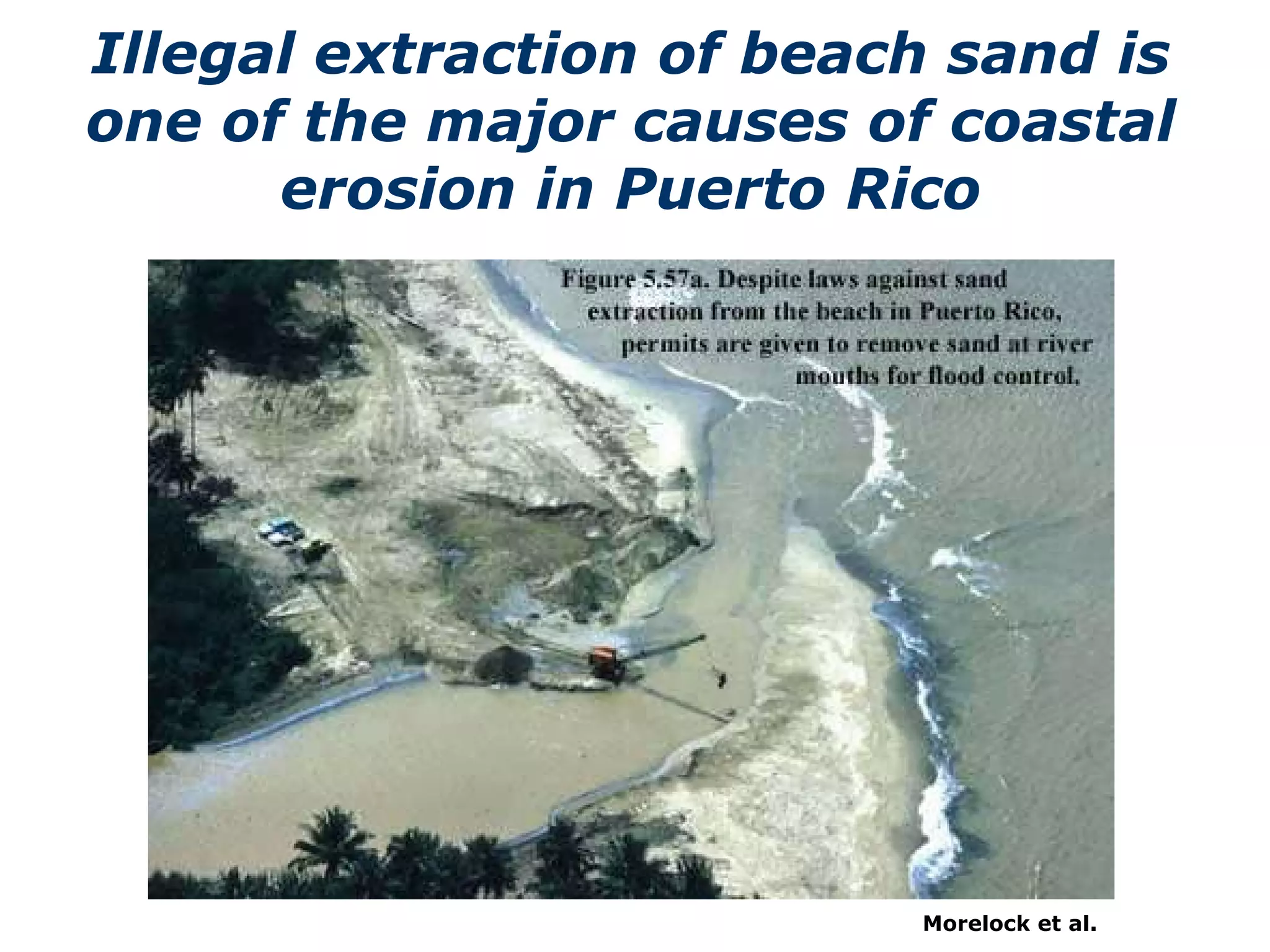 Morelock et al. Illegal extraction of beach sand is one of the major causes of coastal erosion in Puerto Rico 