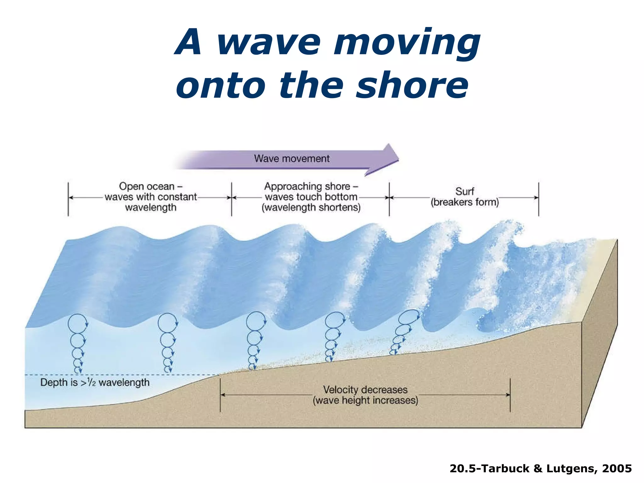 A wave moving  onto the shore 20.5-Tarbuck & Lutgens, 2005 