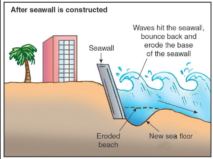 Coastal Protection Measures Hard Engineering