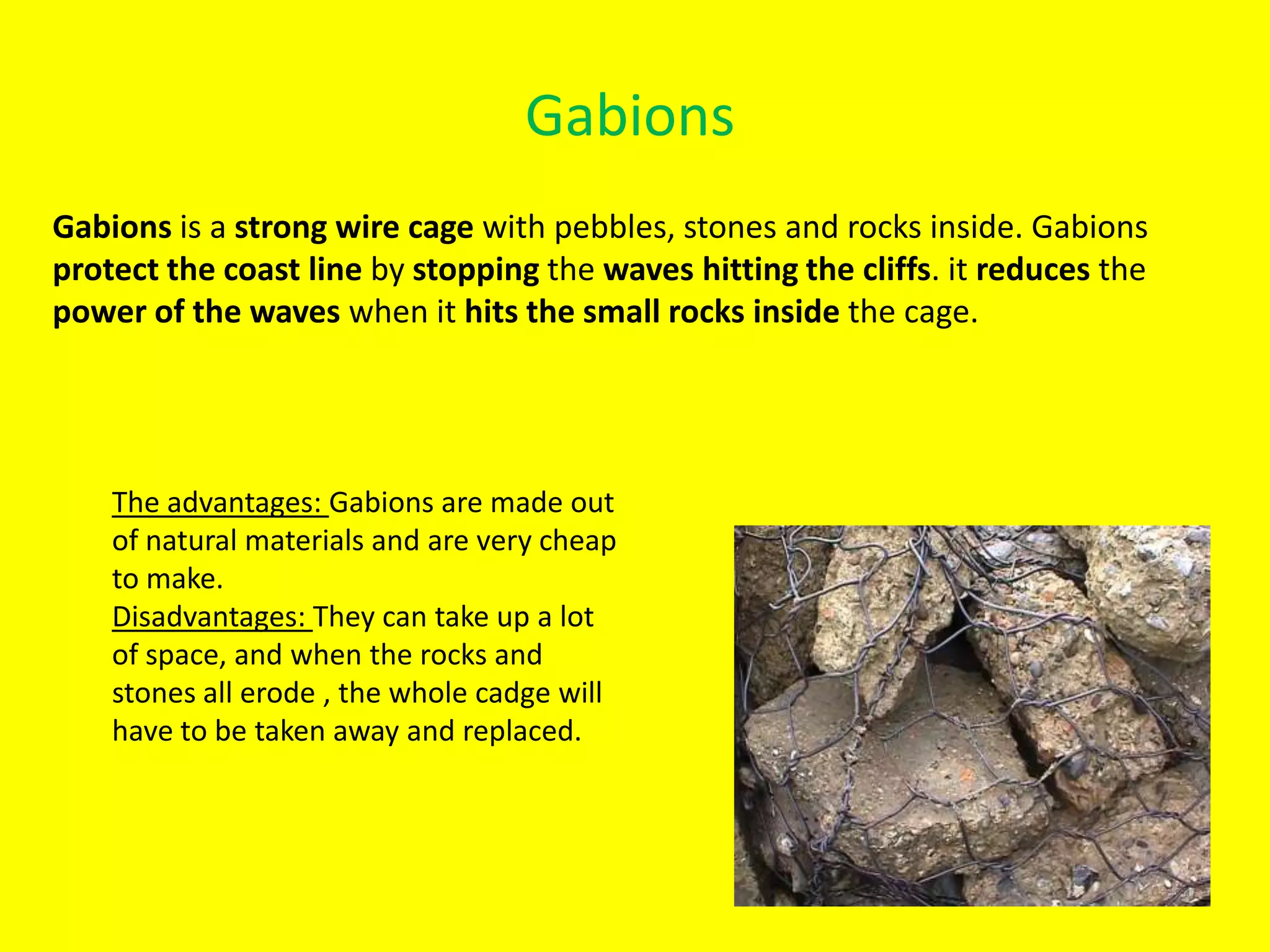 Coastal Protection Methods PPT