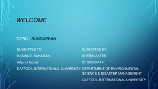 WELCOME
TOPIC : SUNDARBAN
SUBMITTED TO:
HASIBUR RAHAMAN
Adjunct faculty
DAFFODIL INTERNATIONAL UNIVERSITY
SUBMITTED BY:
SHERIN AKTER
ID:163-30-147
DEPARTMENT OF ENVIRONMENTAL
SCIENCE & DISASTER MANAGEMENT
DAFFODIL INTERNATIONAL UNIVERSITY
 