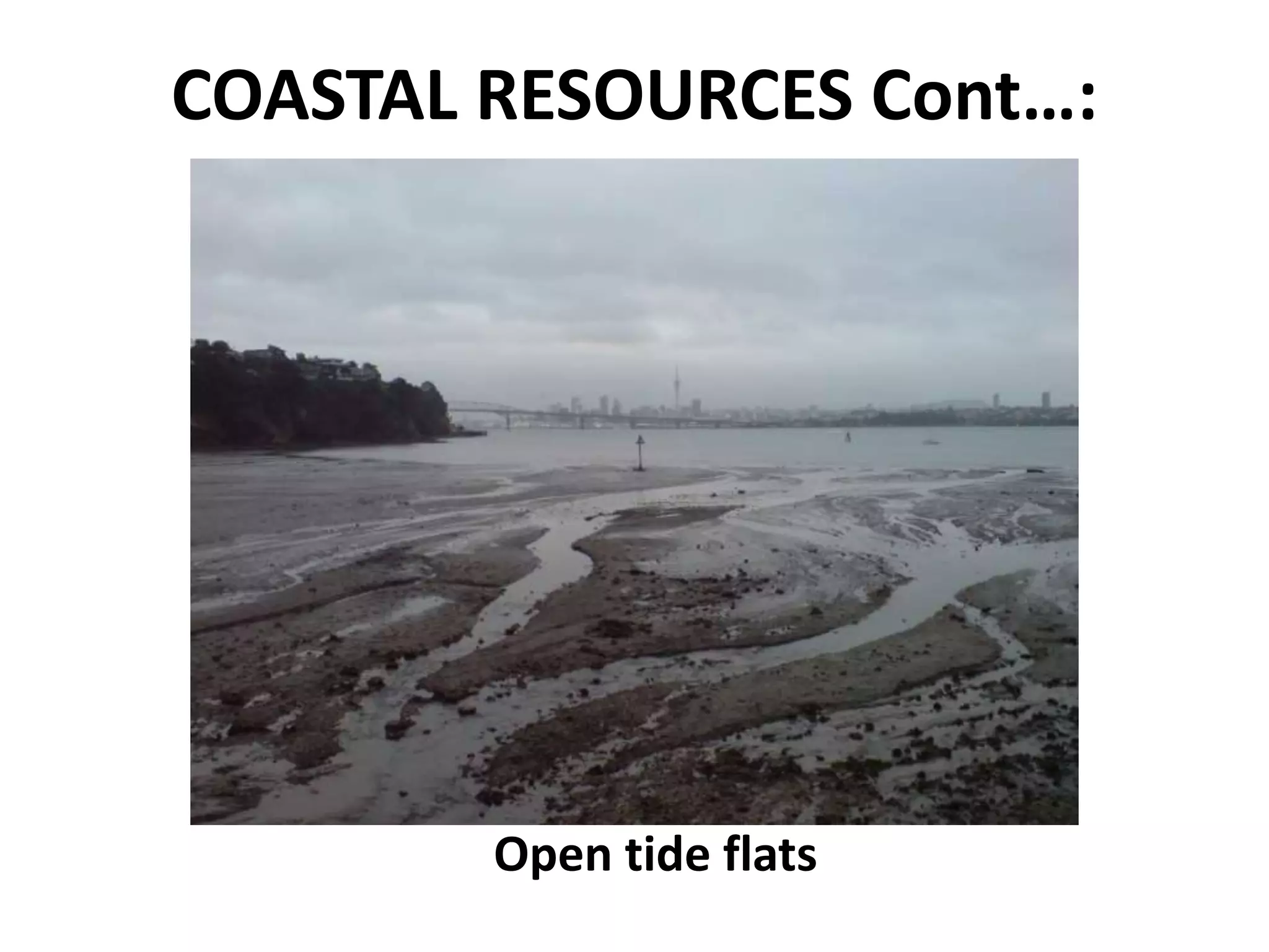 COASTAL RESOURCES Cont…:
Open tide flats
 