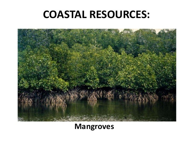 Coastal Resource Management