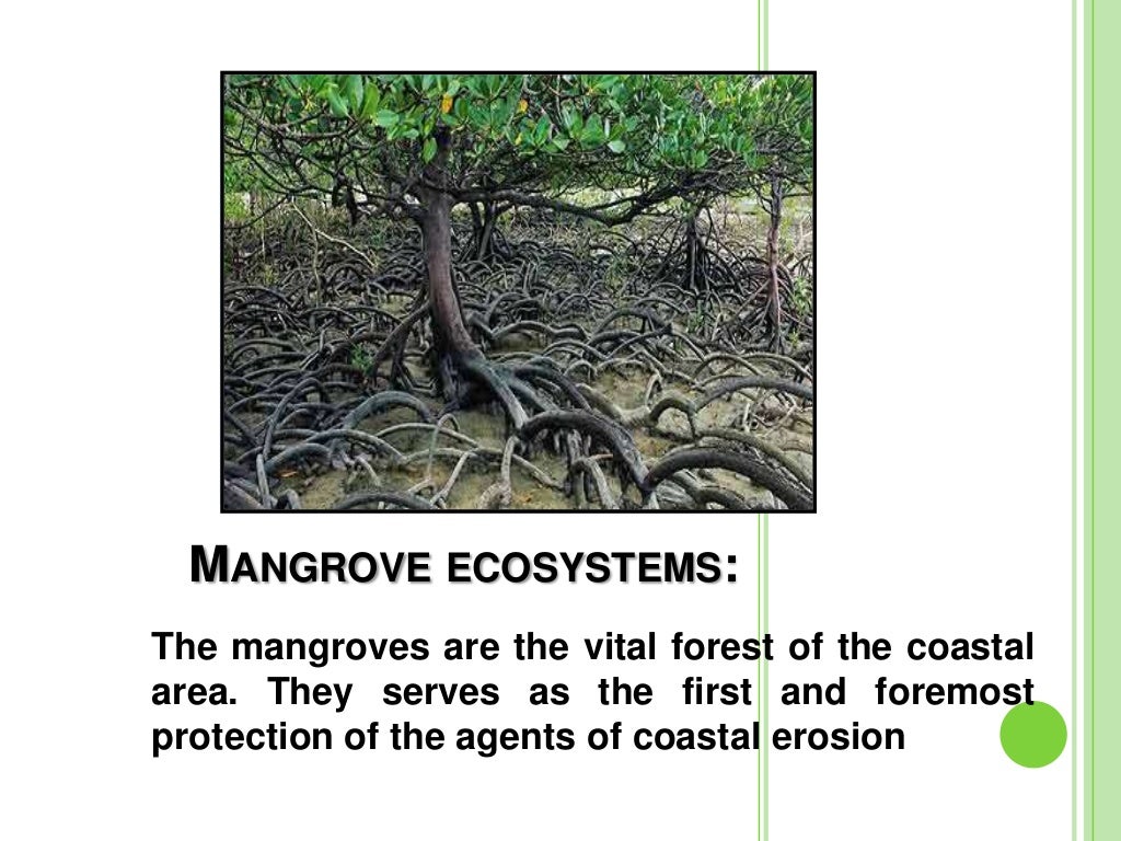 Coastal Resource Management Presentation