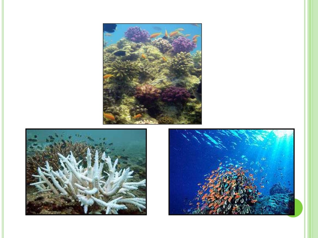 Coastal Resource Management Presentation