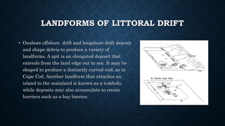 LANDFORMS OF LITTORAL DRIFT
• Onshore offshore drift and longshore drift deposit
and shape debris to produce a variety of
landforms. A spit is an elongated deposit that
extends from the land edge out to sea. It may be
shaped to produce a distinctly curved end, as in
Cape Cod. Another landform that attaches an
island to the mainland is known as a tombolo,
while deposits may also accumulate to create
barriers such as a bay barrier.
 