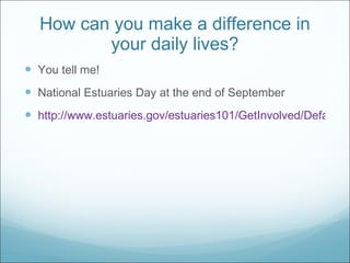 How can you make a difference in your daily lives? You tell me! National Estuaries Day at the end of September http://www.estuaries.gov/estuaries101/GetInvolved/Default.aspx?ID=153 