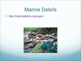 Marine Debris http://marinedebris.noaa.gov/ 