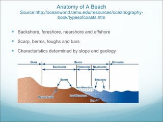Anatomy of A Beach Source:http://oceanworld.tamu.edu/resources/oceanography-book/typesofcoasts.htm Backshore, foreshore, nearshore and offshore Scarp, berms, toughs and bars Characteristics determined by slope and geology 