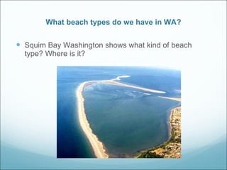 What beach types do we have in WA? Squim Bay Washington shows what kind of beach type? Where is it? 