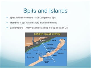 Spits and Islands Spits parallel the shore – like Dungeness Spit Trombolo if spit has off shore island on the end Barrier Island – many examples along the SE coast of US 
