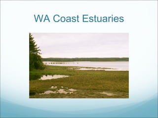 WA Coast Estuaries 