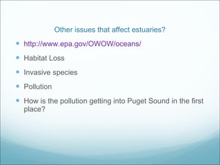 Other issues that affect estuaries? http://www.epa.gov/OWOW/oceans/ Habitat Loss Invasive species Pollution How is the pollution getting into Puget Sound in the first place? 