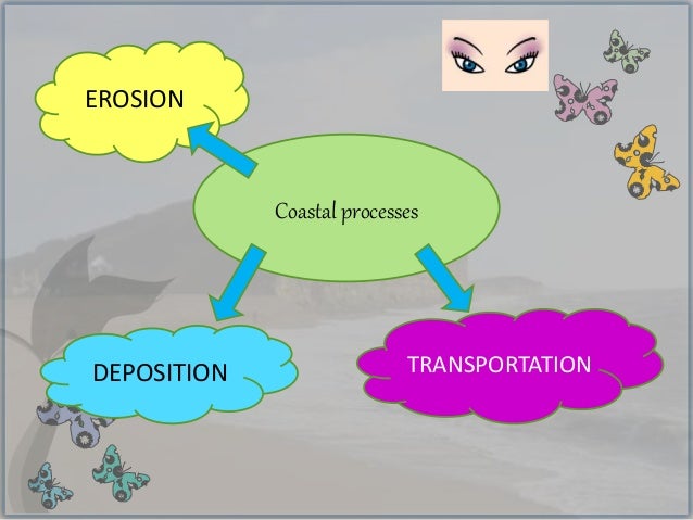 Coastal Erosion Processes Coastal Erosion Processes