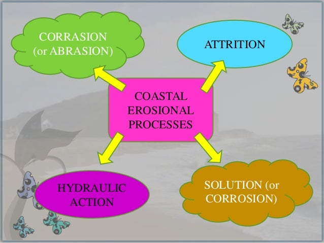 Coastal Erosion Processes Coastal Erosion Processes