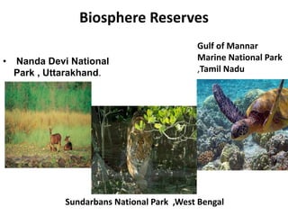 Biosphere Reserves
• Nanda Devi National
Park , Uttarakhand.
Gulf of Mannar
Marine National Park
,Tamil Nadu
Sundarbans National Park ,West Bengal
 