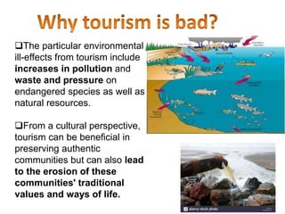 The particular environmental
ill-effects from tourism include
increases in pollution and
waste and pressure on
endangered species as well as
natural resources.
From a cultural perspective,
tourism can be beneficial in
preserving authentic
communities but can also lead
to the erosion of these
communities' traditional
values and ways of life.
 