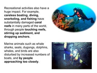 Recreational activities also have a
huge impact. For example,
careless boating, diving,
snorkeling, and fishing have
substantially damaged coral
reefs in many parts of the world,
through people touching reefs,
stirring up sediment, and
dropping anchors.
Marine animals such as whale
sharks, seals, dugongs, dolphins,
whales, and birds are also
disturbed by increased numbers of
boats, and by people
approaching too closely.
 