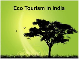 Eco Tourism in India
 