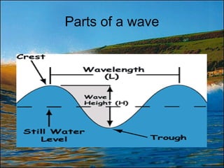 Coast and waves | PPT