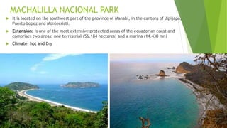 MACHALILLA NACIONAL PARK
 It is located on the southwest part of the province of Manabi, in the cantons of Jipijapa,
Puerto Lopez and Montecristi.
 Extension: Is one of the most extensive protected areas of the ecuadorian coast and
comprises two areas: one terrestrial (56.184 hectares) and a marina (14.430 mn)
 Climate: hot and Dry
 