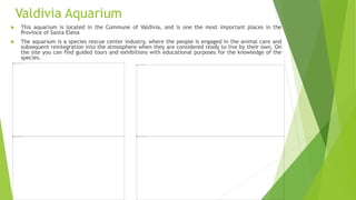 Valdivia Aquarium
 This aquarium is located in the Commune of Valdivia, and is one the most important places in the
Province of Santa Elena
 The aquarium is a species rescue center industry, where the people is engaged in the animal care and
subsequent reintegration into the atmosphere when they are considered ready to live by their own. On
the site you can find guided tours and exhibitions with educational purposes for the knowledge of the
species.
 