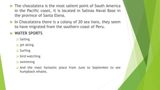  The chocolatera is the most salient point of South America
in the Pacific coast, it is located in Salinas Naval Base in
the province of Santa Elena.
 In Chocolatera there is a colony of 20 sea lions, they seem
to have migrated from the southern coast of Peru.
 WATER SPORTS
 Sailing
 jet skiing
 Surfing
 bird watching
 swimming
 And the most fantastic place from June to September to see
humpback whales.
 